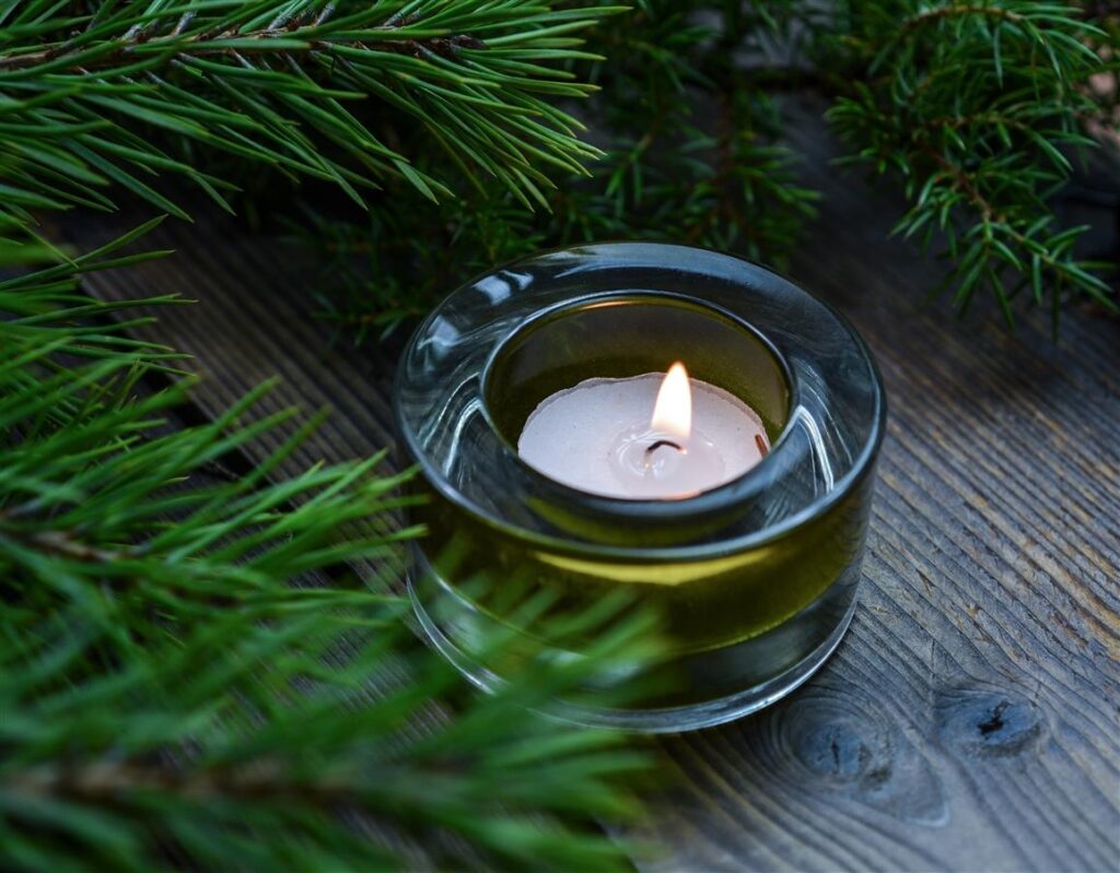 In a world where home is more than just a place—it’s a feeling—Freckleface Home Fragrance brings warmth, comfort, and personality into everyday living spaces. Rooted in storytelling and inspired by nature, this unique brand transforms simple moments into sensory experiences through beautifully handcrafted scents. With a focus on sustainability, creativity, and emotional connection, Freckleface is redefining what it means to create a truly inviting home environment.